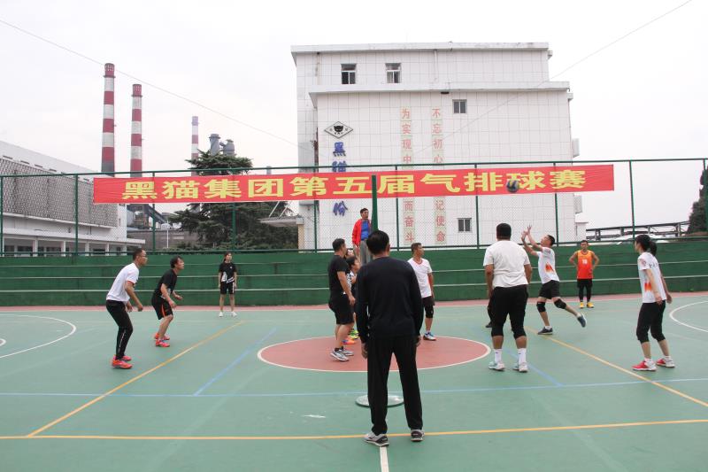 tyc86̫�����Ź���