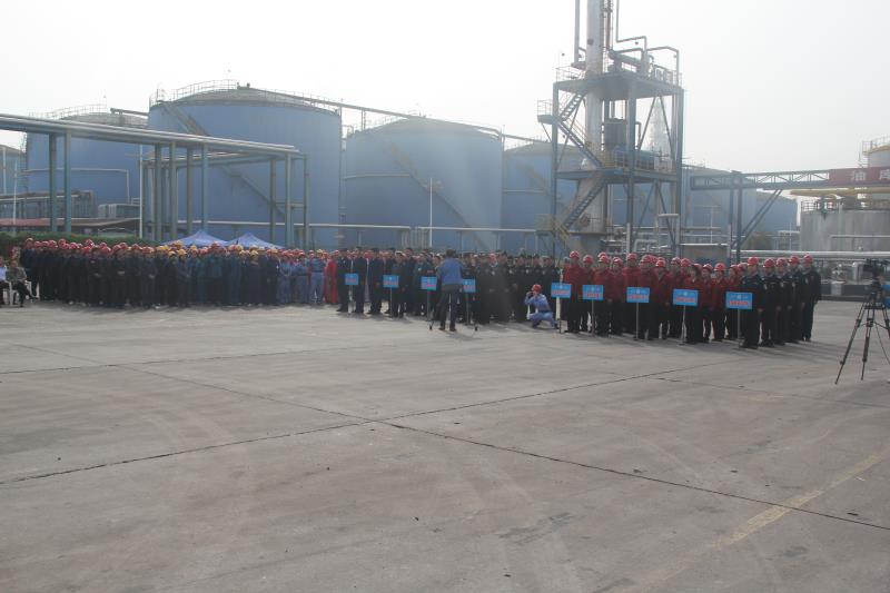 tyc86̫�����Ź���