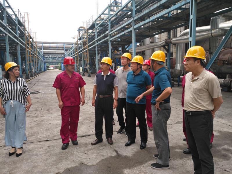 tyc86̫�����Ź���