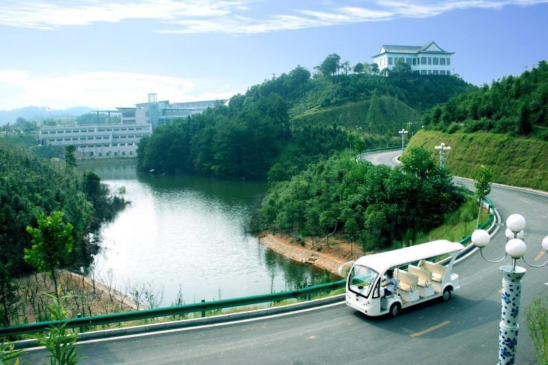 tyc86̫�����Ź���