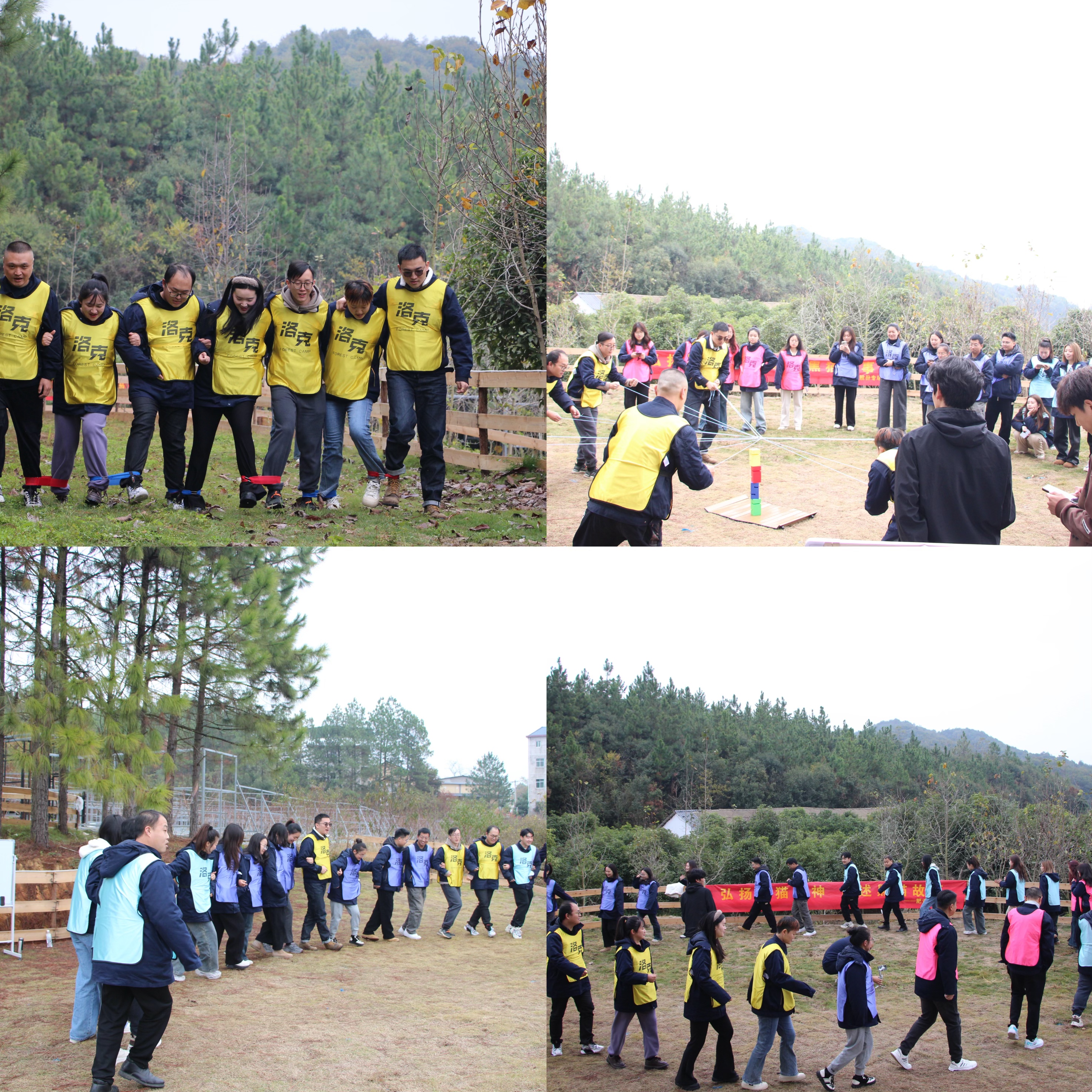 ͼ3 �Ž��˶�.jpg